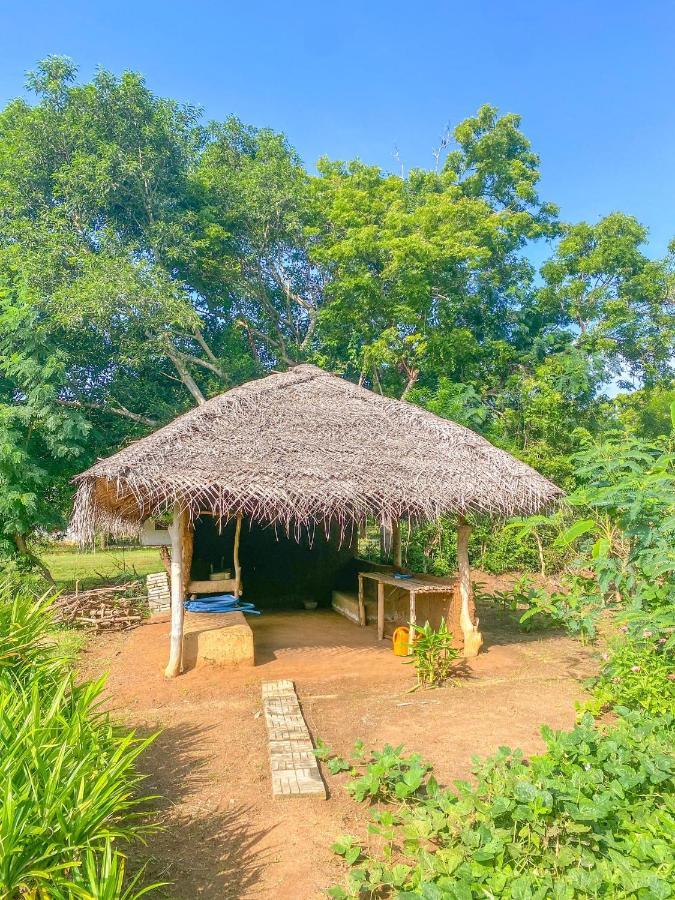 Green Villa Yala Тисамахарама Екстериор снимка